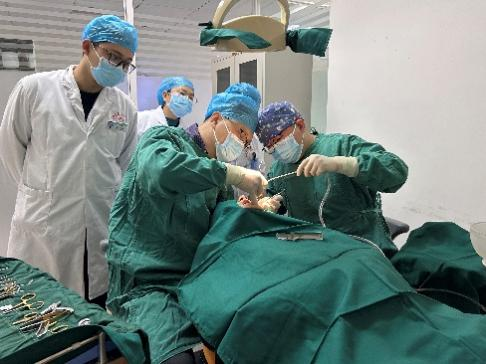 武都手记丨“组团式”帮扶“师带徒”结硕果 武都区第一人民医院口腔科医生独立完成种植牙手术